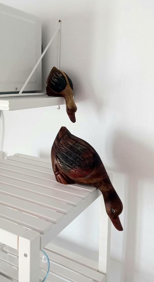 Apartamento Casa Pescado y mariposas Arrecife  Exterior foto